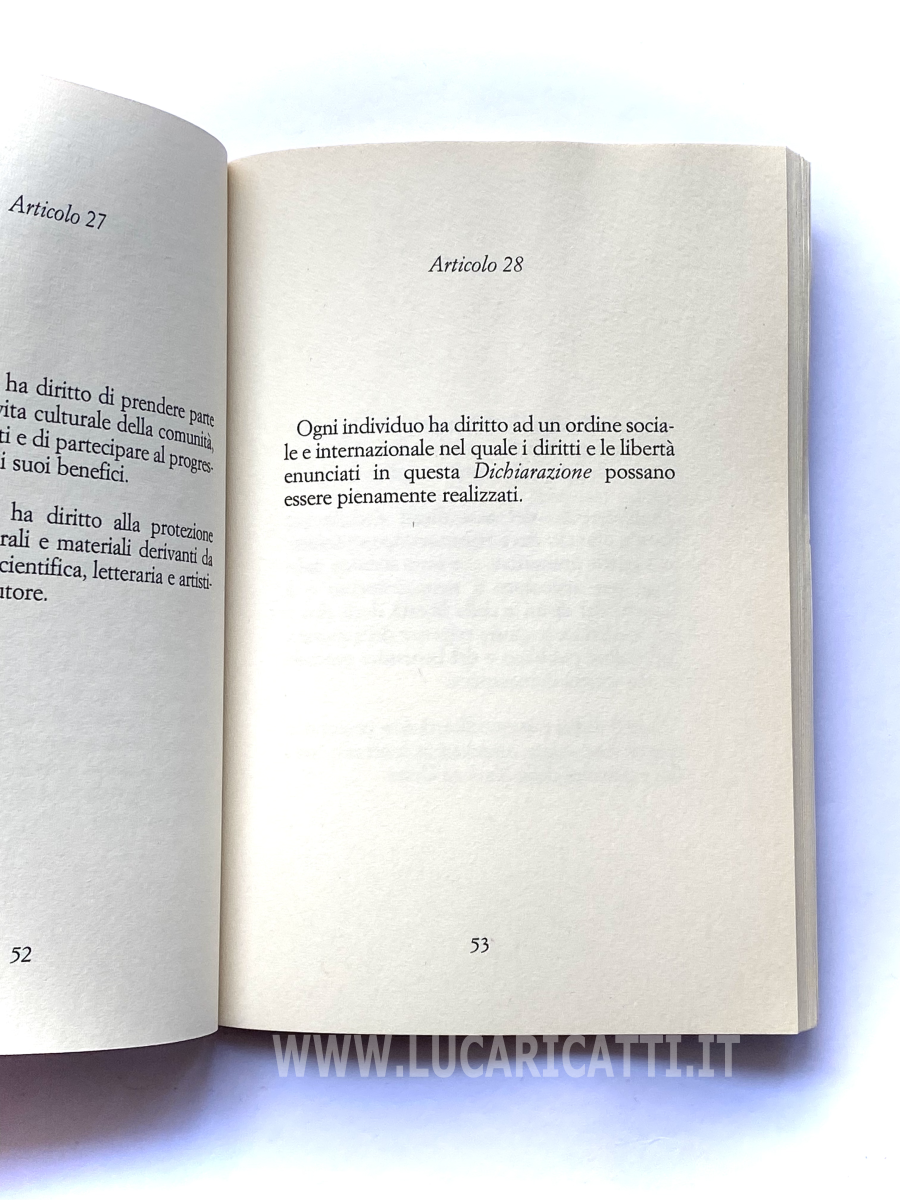 Articolo 28 della Dichiarazione Universale dei Diritti Umani Articolo 28 della Dichiarazione Universale dei Diritti Umani
