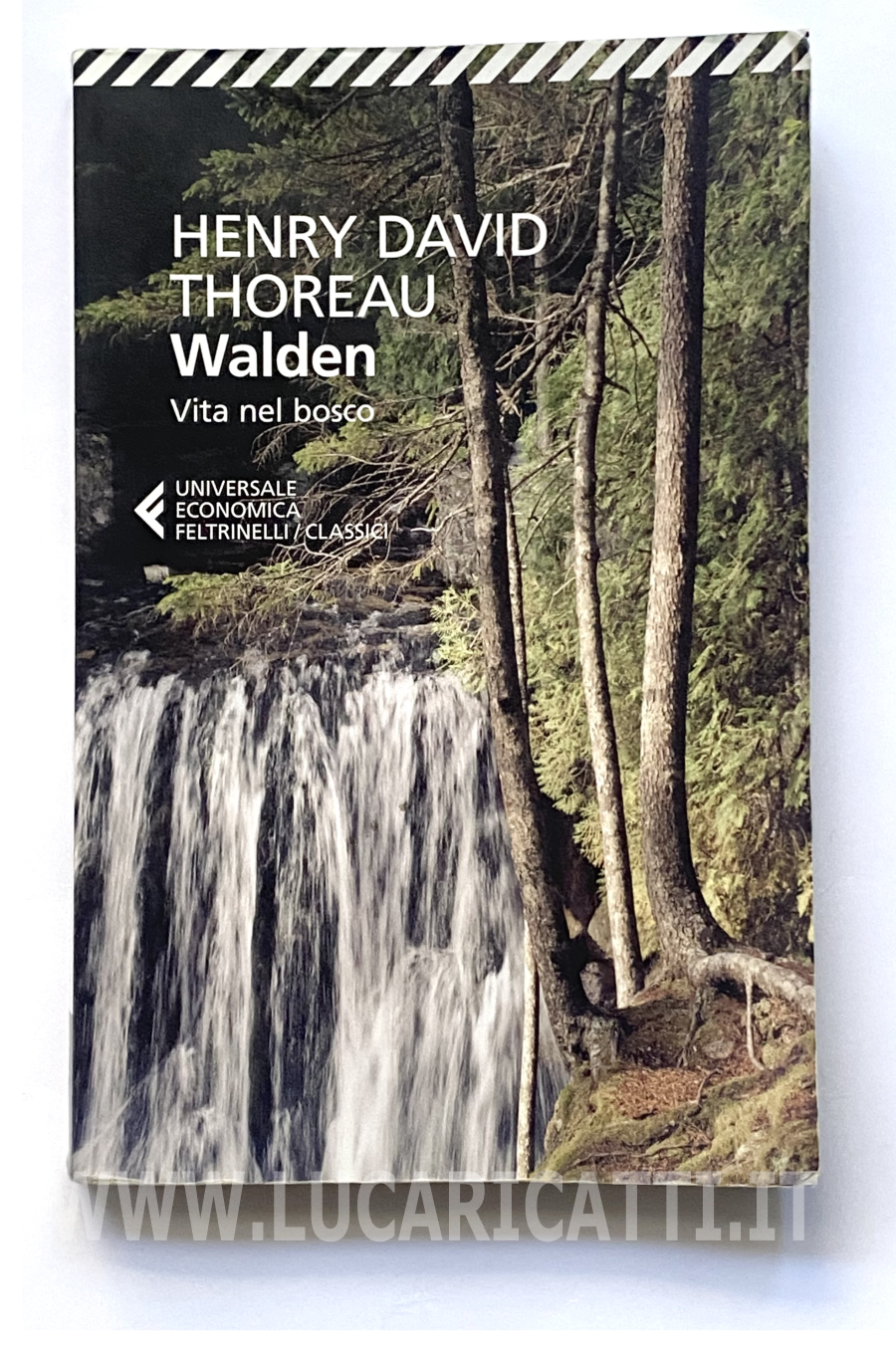 Henry David Thoreau - Walden, vita nel bosco