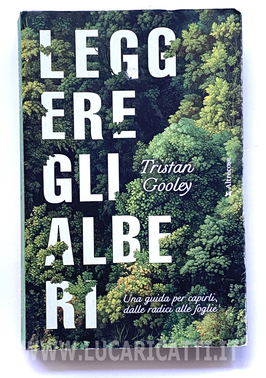 Tristan Gooley: Leggere gli Alberi